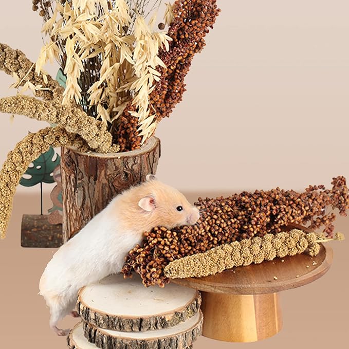 Natural Ear of Grain Flower&amp;Herb Bedding Mate Habitat Decor, Adding Fun Hamster Accessories for Hamsters Gerbils Lemming