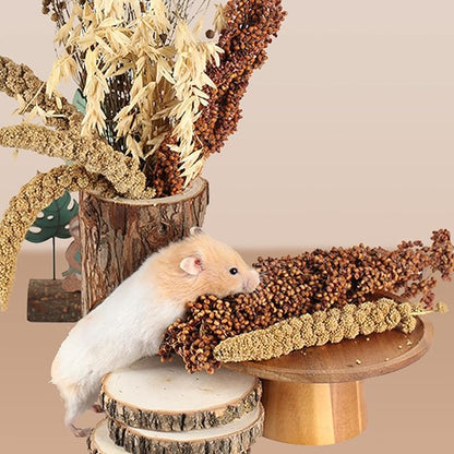 Natural Ear of Grain Flower&amp;Herb Bedding Mate Habitat Decor, Adding Fun Hamster Accessories for Hamsters Gerbils Lemming