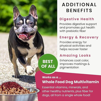 Olewo Original Red Beets for Dogs – Natural Anti Itch for Dogs, Dog Food Topper, Immune, Cleansing, Skin &amp; Coat Support, Dehydrated Whole Food Dog Multivitamin, Fiber for Dogs, 1 lb