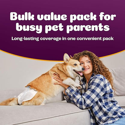 Inspire Pet Care Dog Diapers Female Dogs | Bulk Value Doggie Incontinence, Accidents, for Heat, Pee or Period and Housebreaking (Medium (96 Count))