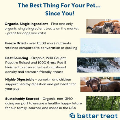 A Better Treat – Organic, Single Ingredient, Freeze Dried Pumpkin, Grass Fed &amp; Finished Beef Liver, Chicken, Sweet Potato Dog Treats &amp; Cat Treats | Natural, Healthy, Diabetic Friendly | Made in USA