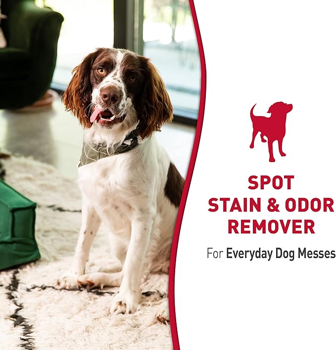 Nature’s Miracle® Stain &amp; Odor Remover, Tough on Dog Urine, Feces, Vomit, Drool and Other Organic Stains and Odors, 1 Gallon