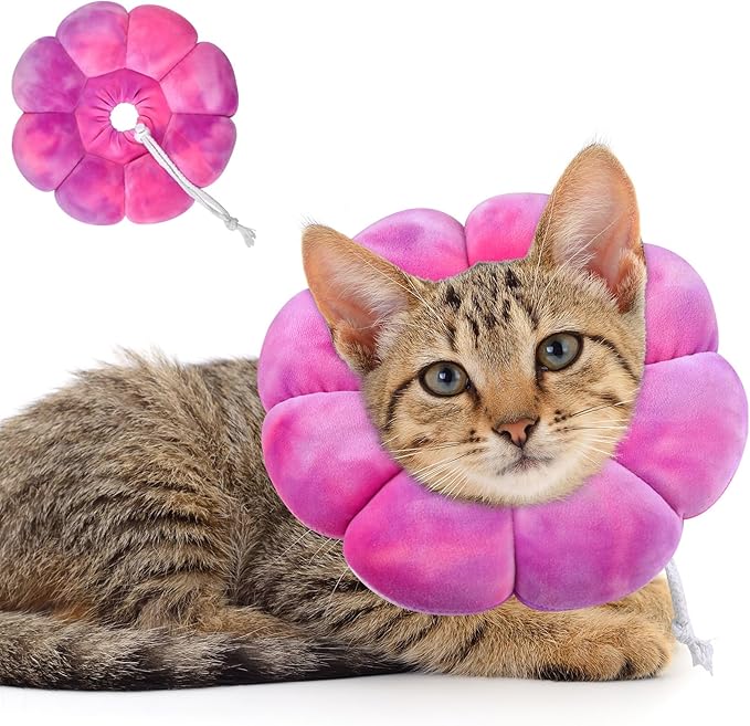 Dog Cat Surgical Recovery Cone Dog Protective Collar, Pet Recovery E-Collar Soft Neck Cone to Stop Licking Wound for Cats &amp; Kittens Small Dog After Surgery