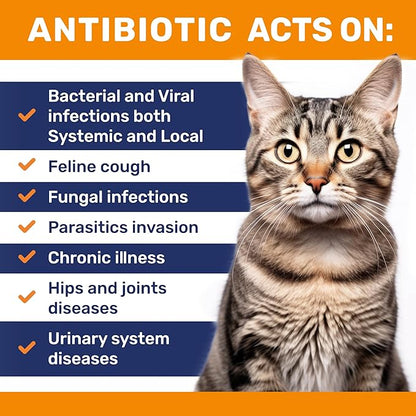 Cat Antibiotic to Help with Cough &amp; Allergies – Antibiotics for Cats to Aid with UTIs and Digestive Moments – HIPS &amp; Joints Support – Attractive Chicken Taste – 2 Oz Bottle