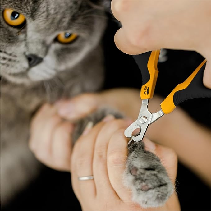 Mr. Pen Cat Nail Trimmer - Cat &amp; Dog Nail Clippers, Claw Trimmer - Orange/Black