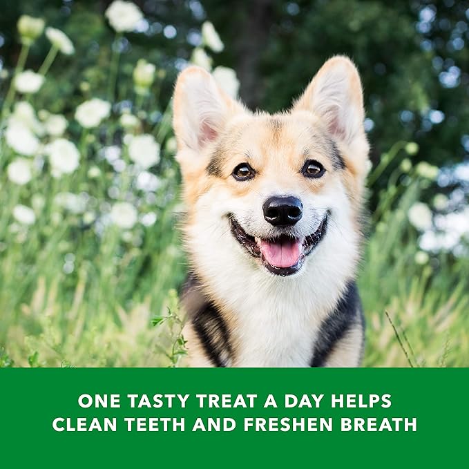 Amazon Brand - Wag Dental Dog Treats to Help Clean Teeth &amp; Freshen Breath - Tiny, Unflavored, 2.25 pounds, 130 Count (Pack of 2)