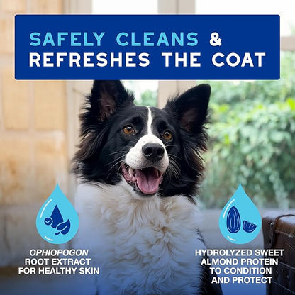DOUXO® Skin &amp; Coat SPA - Ultra-Safe Quick Refresh Leave-on Mousse for Dogs, 10 fl oz, Safely Cleans and Refreshes, Leaves The Coat Soft, Radiant and Smelling Great, Skin-Friendly Formula