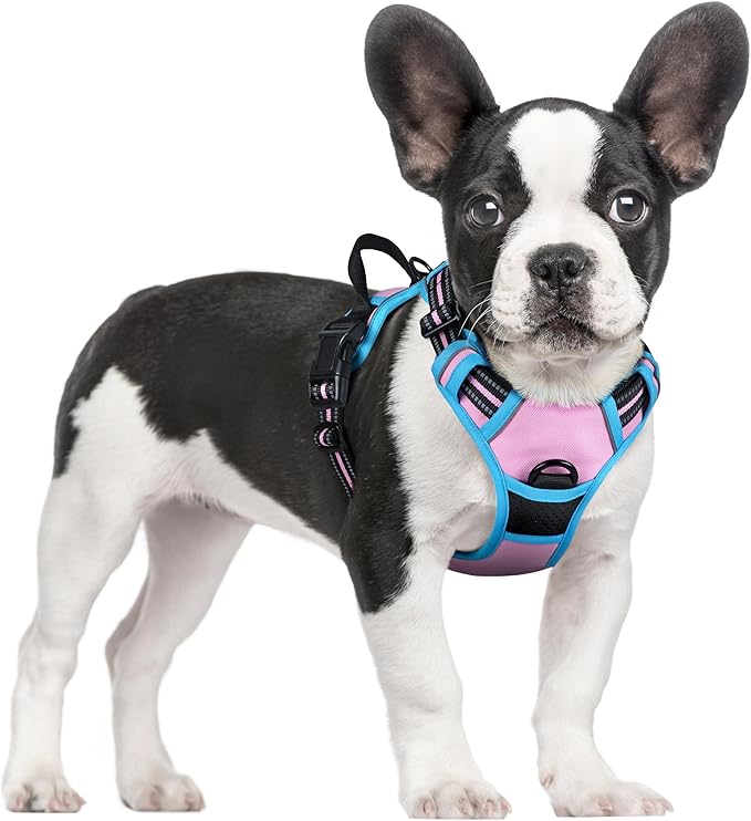 rabbitgoo Dog Harness No Pull with 2 Leash Clips, Adjustable Soft Padded, Reflective Oxford No Choke Pet Vest with Easy Control Handle for Small Dogs, Pink &amp; Blue, S