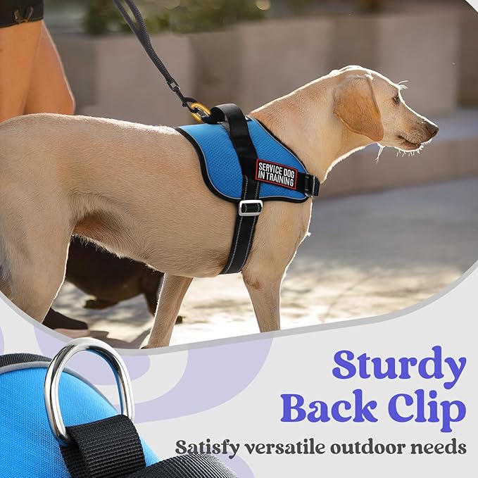 rabbitgoo Dog Harness for Small, Easy On Pet Vest with One Buckle, No Pull Adjustable Service Harness with D-Ring &amp; Handle, Reflective for Safety Walking, Training, Blue, S