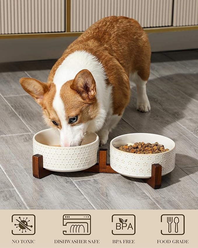 MALACASA Dog Bowl Set with Walnut Wood Stand, 3.5 Cups Ceramic Pet Bowls for Puppy Dogs, Dual Food and Water Bowls with Non-Slip Base, Basic Bowls for Your Dog or Cat, Five-Leaf Grass &amp; Honeycomb