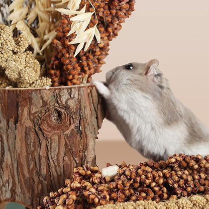 Natural Ear of Grain Flower&amp;Herb Bedding Mate Habitat Decor, Adding Fun Hamster Accessories for Hamsters Gerbils Lemming