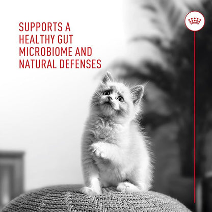 Royal Canin Probiotics for Cats Digestive and Immune Health Powder Supplement for Cats of All Ages, 30 Count