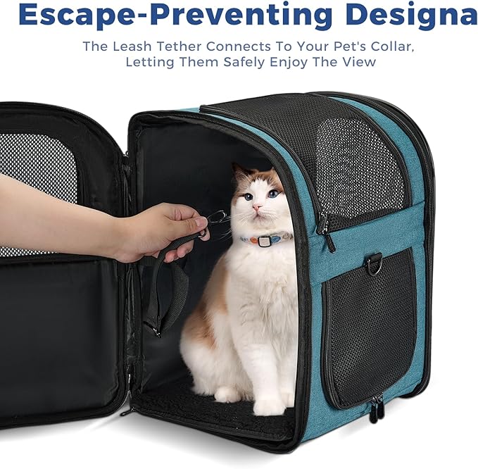 Apollo Walker Dog &amp; Cat Carrier Backpack for 4-15lb Pets - Ventilated Safe Design with Padded Back Support, Breathable Mesh Pet Backpack for Hiking, Travel, Outdoor (Teal)