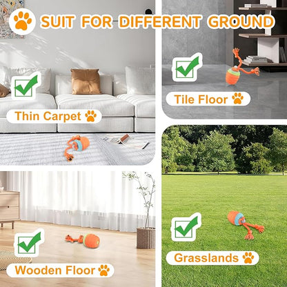 Interactive Dog Toys - [2025 Newly Upgraded] Motion Activated Ball for Small/Medium/Large Dogs, Automatic Moving Dog Toy Wicked Ball for Boredom &amp; Training, Music, USB Rechargeable (Orange)