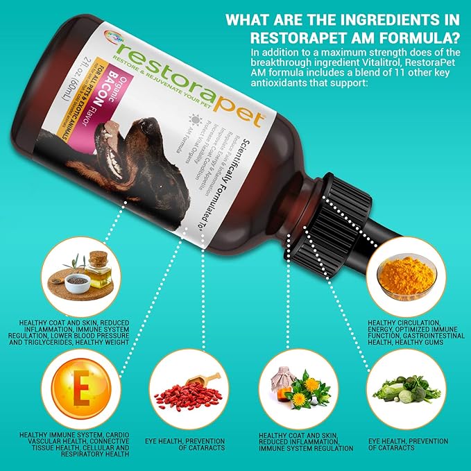 RestoraPet 4-Pack Dog &amp; Cat Beef Liquid Multivitamin | Dog Arthritis Pain Relief | Hip &amp; Joint Vitamins for Dogs - Anti Inflammatory Supplement for Dogs &amp; Cats | Organic &amp; Non-GMO, Vet Approved