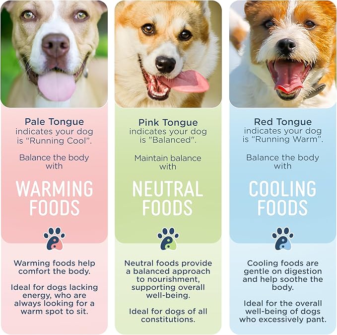 Side by Side Beef &amp; Salmon Stew, Neutral Dog Food for All Breeds, Made of Whole Foods, Every Ingredient Has a Purpose, No Artificial Additives, Fillers, or Gums, Ready to Serve, 12.5 oz, Case of 12
