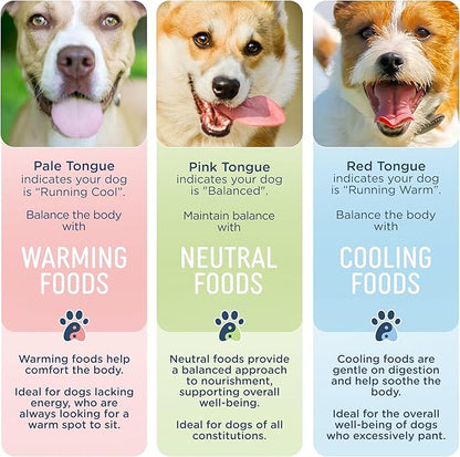 Side by Side Beef &amp; Salmon Stew, Neutral Dog Food for All Breeds, Made of Whole Foods, Every Ingredient Has a Purpose, No Artificial Additives, Fillers, or Gums, Ready to Serve, 12.5 oz, Case of 12
