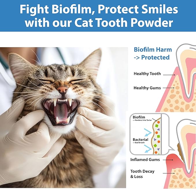 Cat Dental Care Powder Bad Breath Treatment for Cats Teeth, Mouth, Gums &amp; Gut, Plaque Off,Tartar Control, Help Feline Gingivitis and Stomatitis, with Natural Extracts &amp; Probiotics