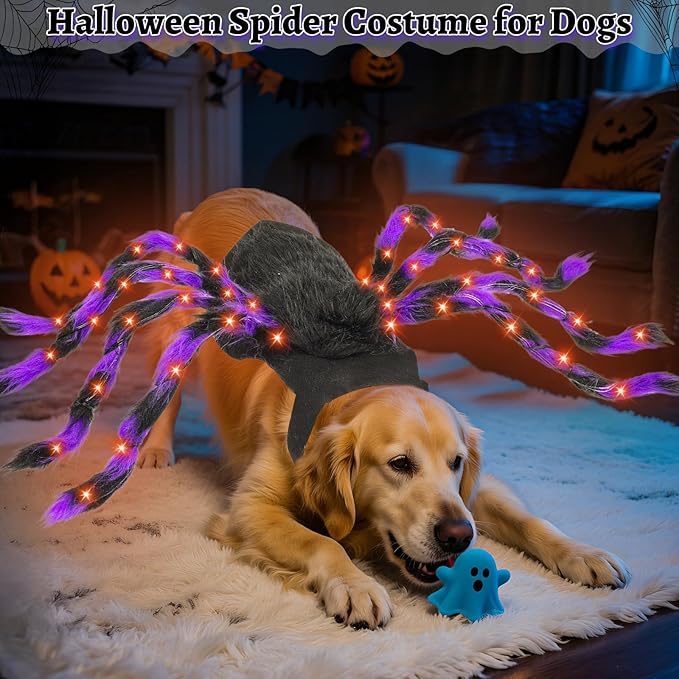 Light-Up Halloween Spider Dog Costume with Orange LED Lights, Purple &amp; Black Furry Spider Costumes for Pets, Funny Halloween Costume Outfit for Cosplay Party (XL)