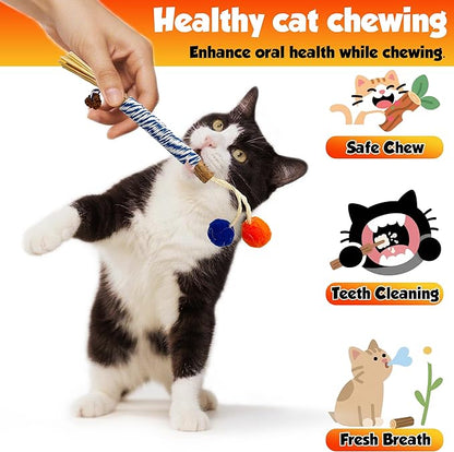Catnip 6PCS Chew Stick with Wrapped Cotton Rope – Natural Dental Care Cat Toy for Teeth Cleaning &amp; Gum Health, Satisfies Chewing Instincts, Safe &amp; Long-Lasting Kitten Teething Toy