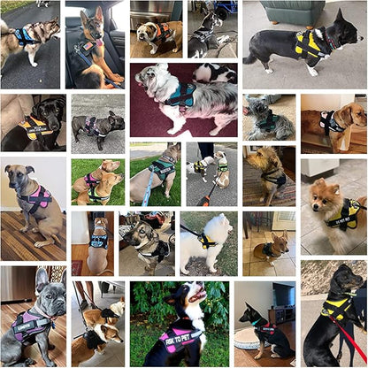 Bolux Dog Harness, No-Pull Reflective Dog Vest, Breathable Adjustable Pet Harness with Handle for Outdoor Walking - No More Pulling, Tugging or Choking (Black, M)