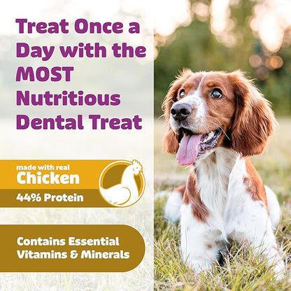 Dog Dental Treats – Vet VOHC Approved, Removes Tartar &amp; Cleans Teeth – Yummy High Protein Chicken Treat for Extra Small Dogs (Mini Pack, 30 Count)