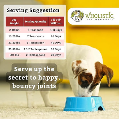 Wholistic Pet Organics Joint Mobility GLM - 1 Lb - Glucosamine for Dogs Chondroitin Supplement Green Lipped Mussels - Joint Supplement for Dogs - Arthritis Pain Reliever for Large &amp; Small Breeds