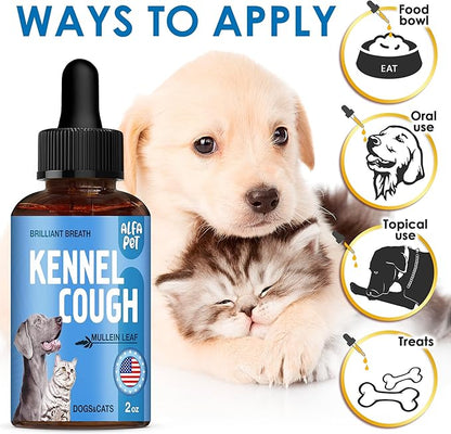 Dog Cough Treatment Liquid • Kennel Cough for Dogs &amp; Cats • for Breathing During All Life Cycle • Marshmallow Root + Mullein Leaf in The Composition • Natural Supplement for All Breeds • 2 Oz