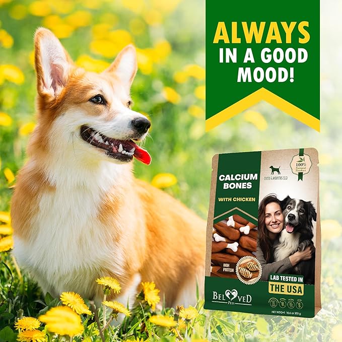Beloved Pets Dog Treats, Calcium Bones Wrapped Chicken &amp; Rawhide Free Chew 11Oz - Pet Healthy Dried Snacks &amp; Grain Free Meat - Bulk Best Chews for Christmas, Training Small &amp; Large Dogs - Made for USA