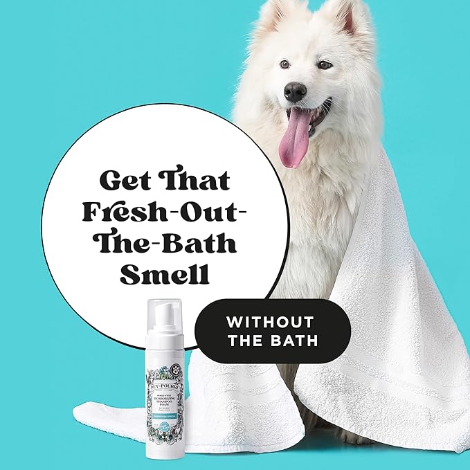 Poo-Pourri Rinse-Free Deodorizing Dry Shampoo for Dogs &amp; Cats – Moisturizing Skin &amp; Coat Soothing Formula - Plant Based Ingredients – Pineapple, Jasmine &amp; Pear – No Rinse Foam Shampoo for Pet Odor