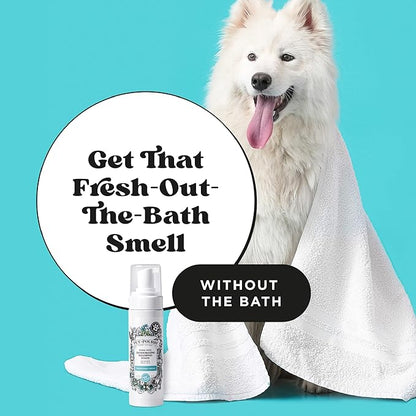 Poo-Pourri Rinse-Free Deodorizing Dry Shampoo for Dogs &amp; Cats – Moisturizing Skin &amp; Coat Soothing Formula - Plant Based Ingredients – Pineapple, Jasmine &amp; Pear – No Rinse Foam Shampoo for Pet Odor