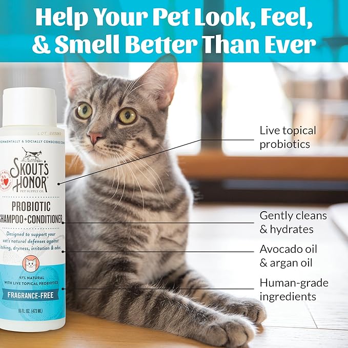 Skout&
