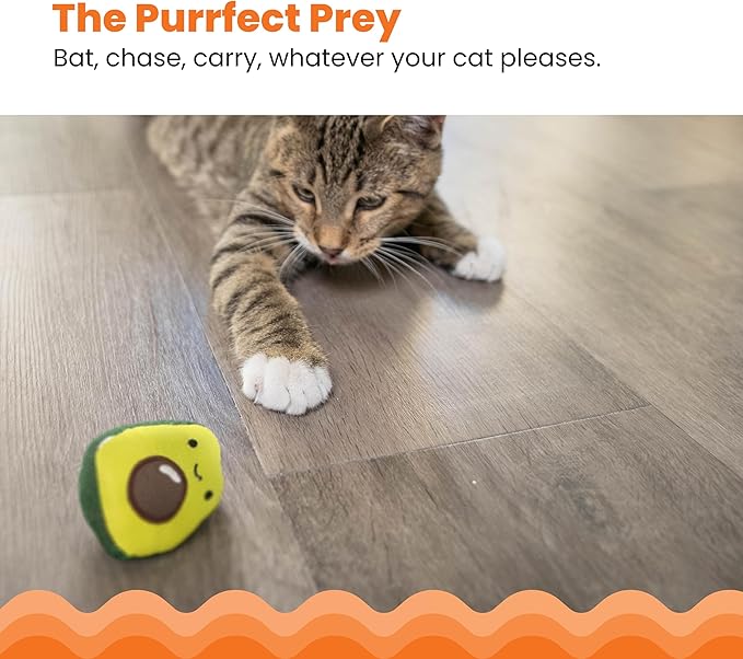 Catstages Lil&