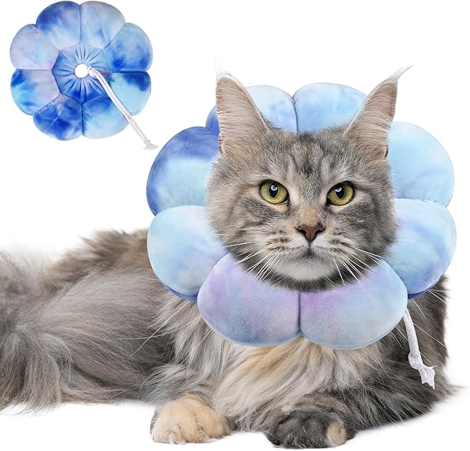 Dog Cat Surgical Recovery Cone Dog Protective Collar, Pet Recovery E-Collar Soft Neck Cone to Stop Licking Wound for Cats &amp; Kittens Small Dog After Surgery