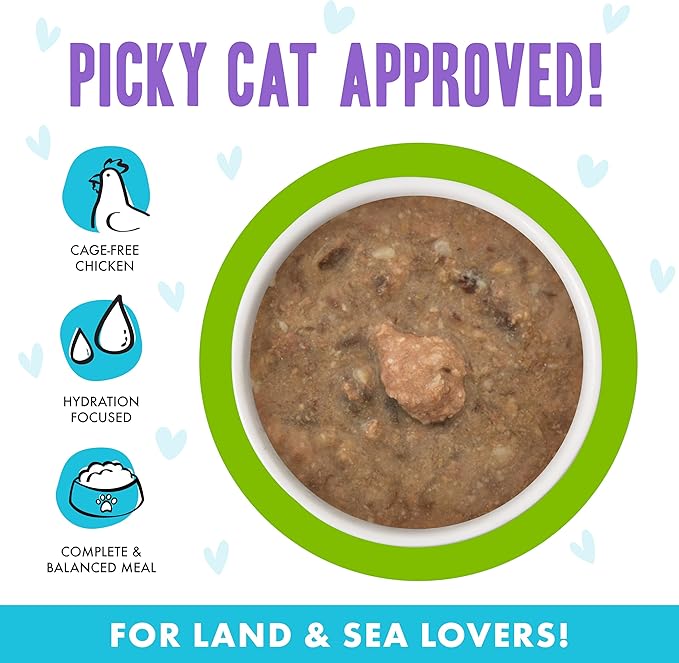 Weruva B.F.F. OMG - Best Feline Friend Oh My Gravy!, Selfie Cam! with Chicken &amp; Lamb in Gravy Cat Food, 5.5oz Can (Pack of 8)
