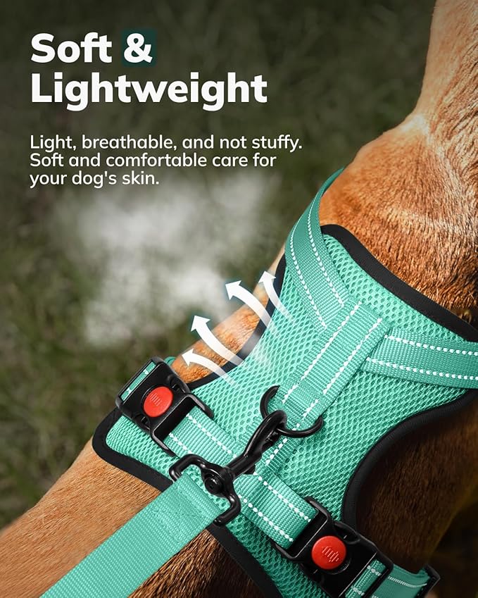 MIDOG No-Pull Dog Harness | Adjustable &amp; Reflective Pet Harness Leash Set for Small Medium Large Dogs Walking, Training| No Choke, Front Clip, Soft Padded Vest with Easy Control Handle - Green, XS