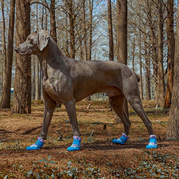 Dog Shoes, Waterproof Dog Boots &amp; Paw Protectors with Anti-Slip Sole, 4pcs/Set Pet Dog Booties, Reflective Dog Shoes for Small Medium Large, Winter Snowy Summer Hot Pavement (Blue, 5