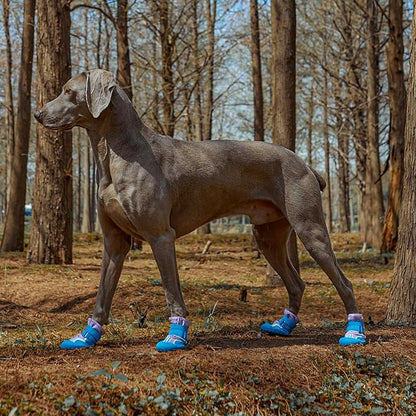 Dog Shoes, Waterproof Dog Boots &amp; Paw Protectors with Anti-Slip Sole, 4pcs/Set Pet Dog Booties, Reflective Dog Shoes for Small Medium Large, Winter Snowy Summer Hot Pavement (Blue, 5