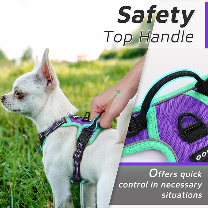 Eagloo Small Dog Harness No Pull, Service Vest with Reflective Strips and Control Handle, Adjustable and Comfortable for Walking, No Choke Pet Harness with 2 Metal Rings, Purple &amp; Green, XS