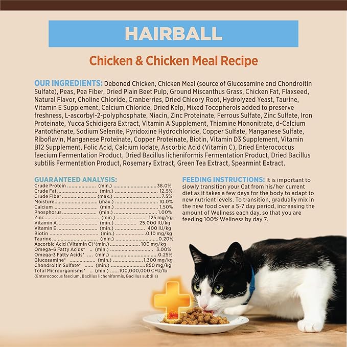 Wellness CORE+ Hairball Adult Dry Cat Food for Indoor &amp; Outdoor Cats, Grain Free, Natural, Chicken and Chicken Meal (4.75 Pound Bag)