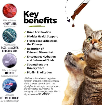 Cat &amp; Dog Urinary Tract Treatment, Bladder &amp; Kidney Support for Dogs and Cats, Powerful Yet Gentle Pet Care, with Liquid Cranberry &amp; Glucosamine, Chicken Flavor, 6 oz Bottle, 2 Pack