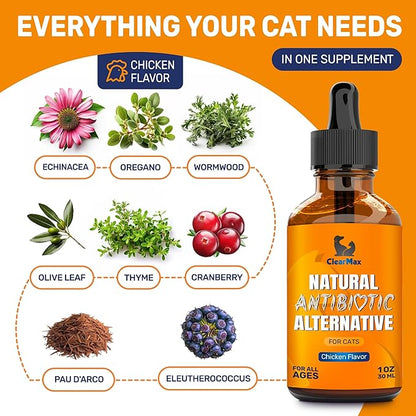 Cat Antibiotic to Help with Cough &amp; Allergies – Antibiotics for Cats to Aid with UTIs and Digestive Moments – HIPS &amp; Joints Support – Attractive Chicken Taste – 1 Oz Bottle