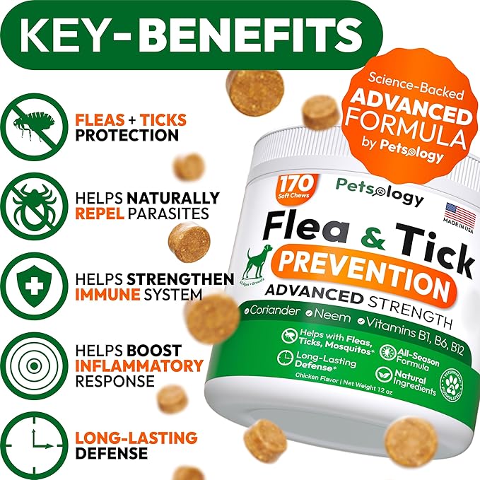 Flea and Tick Prevention for Dogs Pills - Natural Dog Flea &amp; Tick Control - 170 Soft Chewables - Oral Defense Treatment for Dogs Supplement - Vet Formulated Chews - All Breeds &amp; Ages - Made in USA
