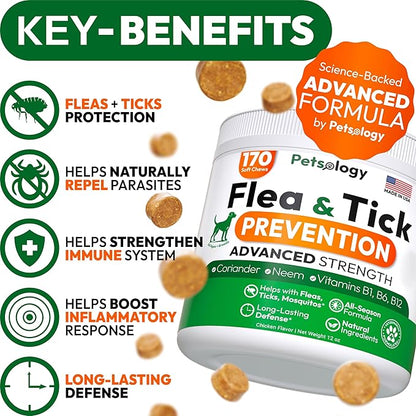 Flea and Tick Prevention for Dogs Pills - Natural Dog Flea &amp; Tick Control - 170 Soft Chewables - Oral Defense Treatment for Dogs Supplement - Vet Formulated Chews - All Breeds &amp; Ages - Made in USA