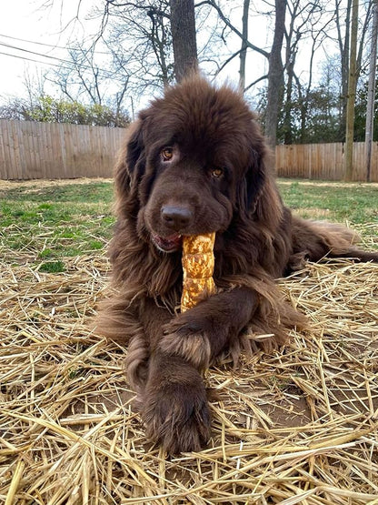 Redbarn Pet Products All-Natural Small/Medium Beef Cheek Rolls for Dogs, Chicken &amp; Carrot Glazed - Single Ingredient Grain-Free Chew Treat Naturally Rich in Collagen - 5 Pack - Packaging May Vary