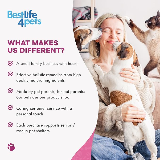 Cat Weight Gain &amp; Hyperthyroidism Treatment, Safe and Effective Cat Appetite Stimulant, Thyroid and Metabolic Support, Weight Management Remedy, 400 All-Natural Odorless, Tasteless Pills
