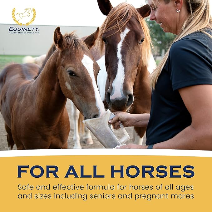 100-Day Supply Horse XL Supplements – Horse Care Weight Gain Supplement W/ 8 Amino Acids - No Soy or Sugar Coat Defense for Horses - Joint Supplement, Equine Supplies &amp; Hoof Supplements