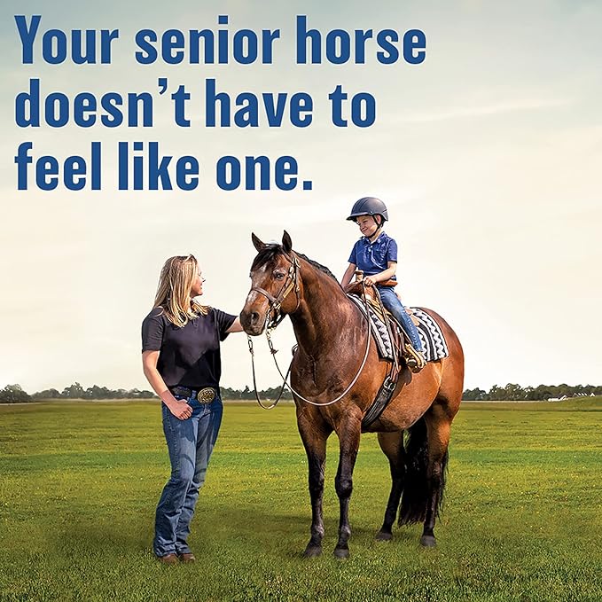 Absorbine Bute-Less Long-Term Horse Comfort &amp; Recovery Supplement Solution, Gentle on Stomach, Devil&