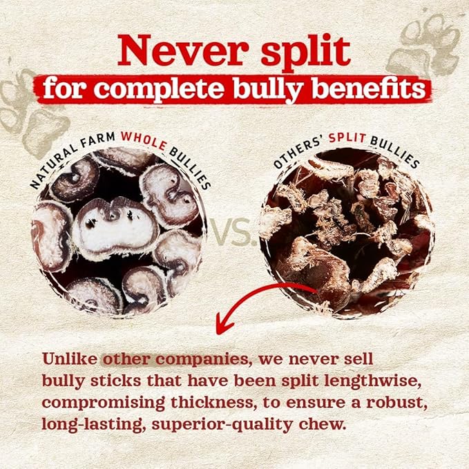 Natural Farm Odor-Free Thick Bully Sticks (12”, 10-Pack) All-Natural Long-Lasting Dog Chews, 100% Beef Pizzle, Grass-Fed, Grain-Free, Protein for Muscle Development &amp; Energy, Perfect for Large Dogs