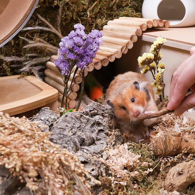 Niteangel Hamster Snack &amp; Treats Toy - Small Animal Natural Treat for Dwarf Syrian Robo Hamsters Gerbils Mice Lemmings Degus or Other Small-Sized Pets
